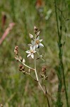 Sandbog deathcamas